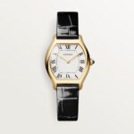 Montre Tortue