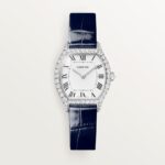 Montre Tortue