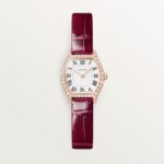 Montre Tortue